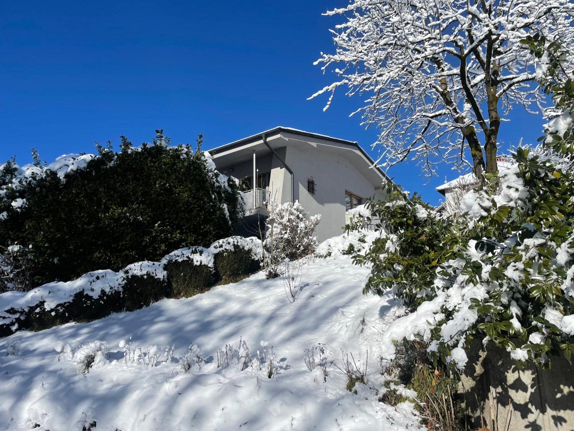 Katarina Apartment Bled Exterior photo